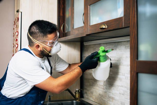 Best Best Pest Control Companies  in Penrose, CO