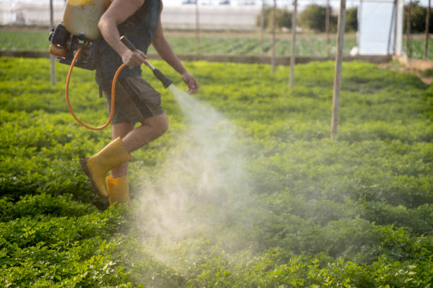 Best Mosquito Control Services  in Penrose, CO