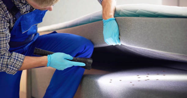 Wasp Removal Services in Penrose, CO