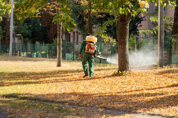 Best Insect Control  in Penrose, CO