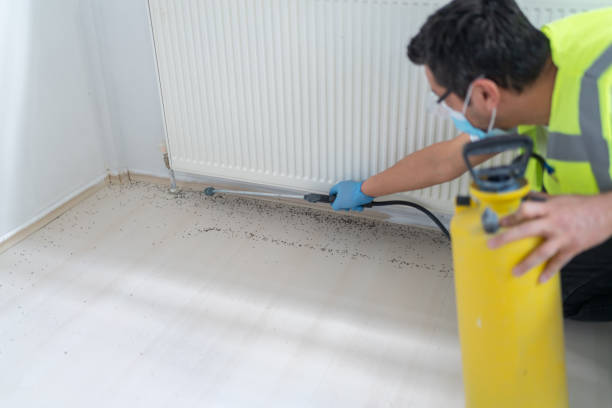 Best Pest Removal Services  in Penrose, CO