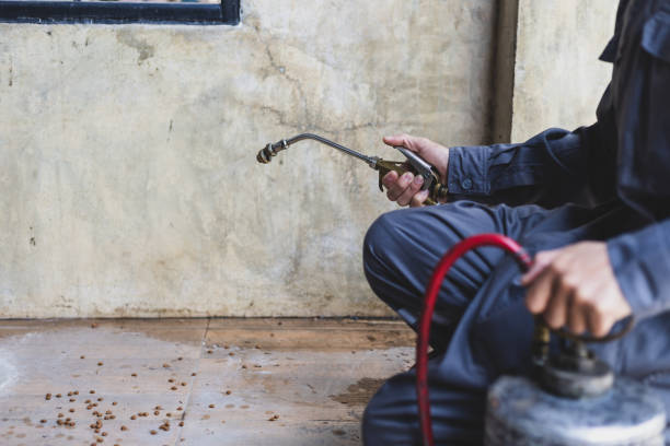 Professional Pest Control in Penrose, CO